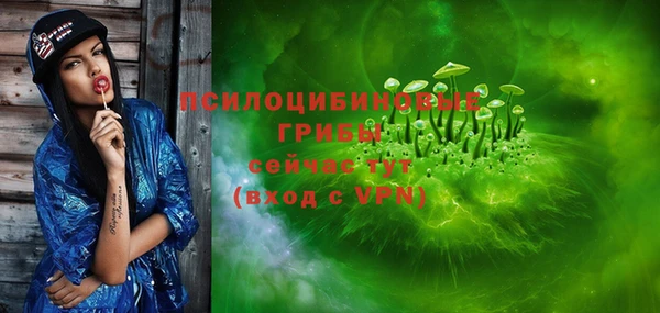прущая мука Верея